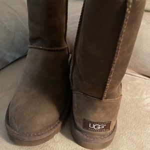 Women’s Classic Short Brown Ugg Boots